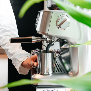 AIVIQ Aspire Brew Inkl Kaffepro Golden Harvest 4kg